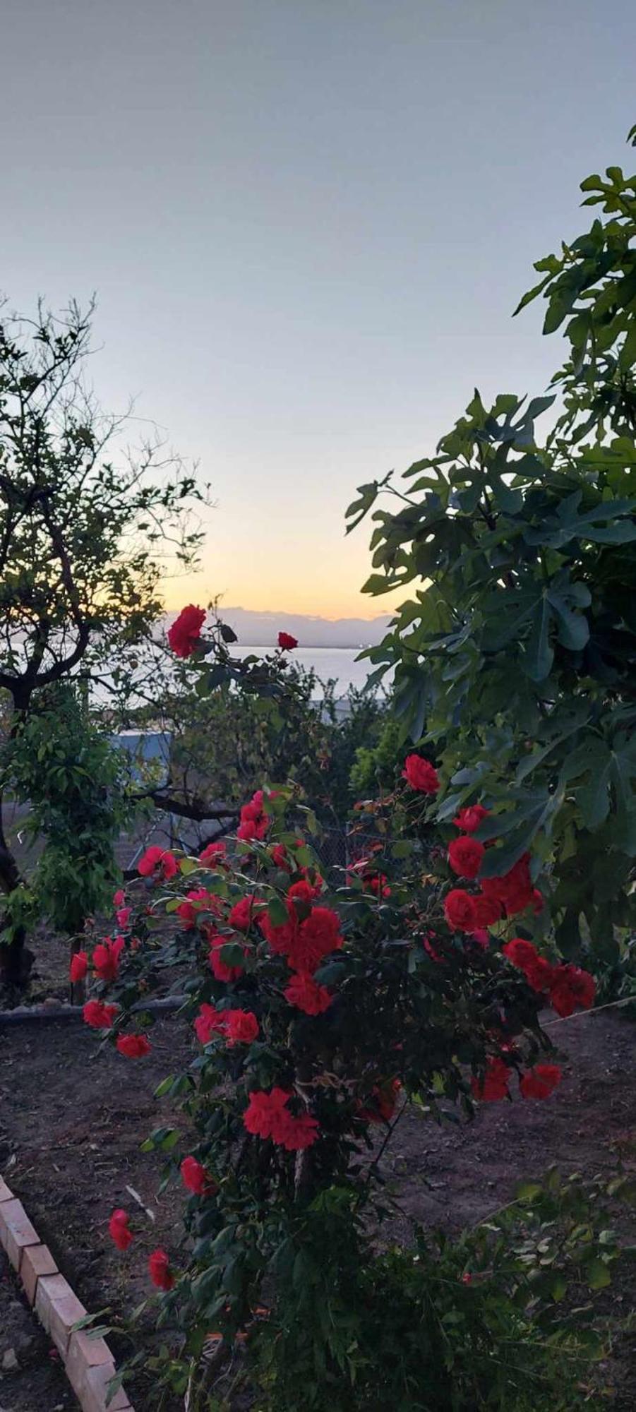 Panorama Studio Каламата Экстерьер фото